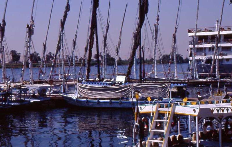 245-Luxor,13 agosto 2007.jpg